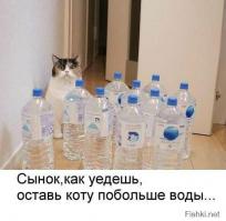 Фишкина солянка за 18.10.2014