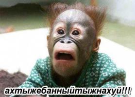 Это взрыв мозга, мне, как историку по образованию, даже не смешно.
Носовский с Фоменко — просто дети с мелками у забора, по сравнению с великими украинскими учеными. Ужас на...