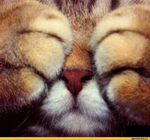 УУУУУУУУ старшно