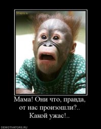 Ужас...