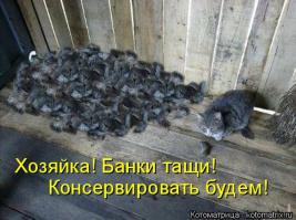 Мыловка 80lvl