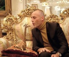 А рекламировали комнатных жирафов?