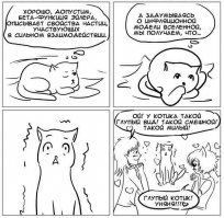 По следам интернета