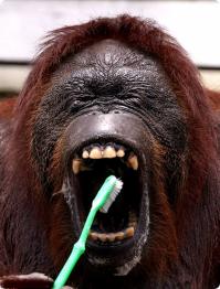 Всем спок ноч....