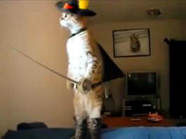 Тысяча мышей!!!! Что ты расселся? Нас ждут великие дела!