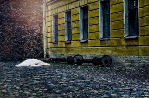 Фонарным столбом пришибло чтоль?