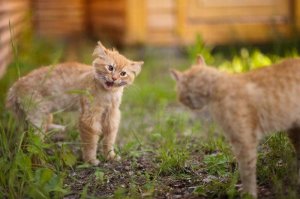 А кто не пьёт? Нет ты скажи, я жду!!! )))