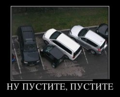 Всем косым  водятлам писюны пообрезать, чтобы не размножались сука.... Может тогда на парковках можно будет нормально поставить машину...