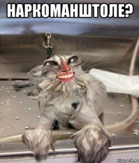 Чудики из Японии