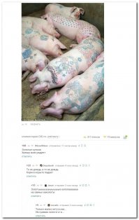 Я ПРЕДСТАВЛЯЮ В КАКОМ ШОКЕ БУДЕТ ЧЕЛОВЕК КУПИВШИЙ САЛО С ТАКОЙ СВИНЬИ