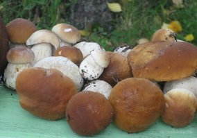 А по мне, так вот такие вкуснее))