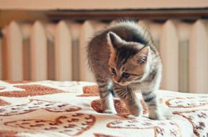 ..."-Эу, сюда иди!"  =)