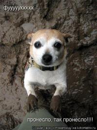 Без лишних слов :)