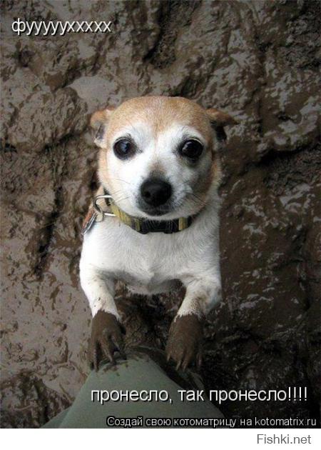 Без лишних слов :)