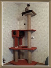 Мое творение. Не так элегантно как Ваше, но как говорится "на вырост" ))