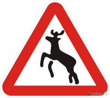 Маневр от таксиста