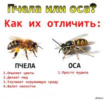 Давно не заходили в гостевую спальню