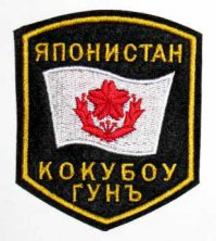 Не только в Дании. Наши подразделения недавно высадились и на Японских островах, и там уже сформировано временное правительство.