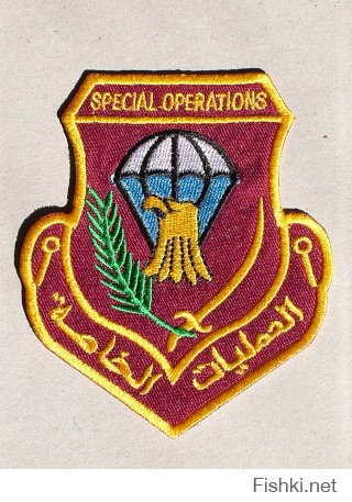 Судя по военной форме и символике - товарищ изображает бойца подразделения специального назначения иракской армии.