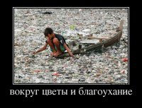 Крaткaя притчa о пчеле и мухе