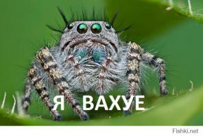 В Красноярске на автомобиль упала 250-килограммовая плита