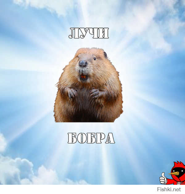 Надюшка ну чего ты , этож аллегория ))) если так упираться то и остальные полководцы в Москву вроде добежали )))) и воообще БОЛЬШЕ ПОЗИТИВА !!! ;)
з,ы, всем бобра ))