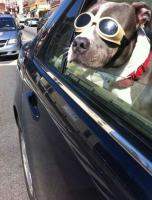 пассажиров не хватает ;)

а по теме