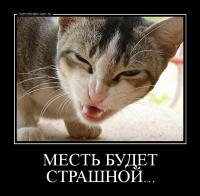 Удивительная Азия: смартфоны в живых кроликах