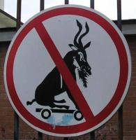 в нашем регионе подобного не наблюдается