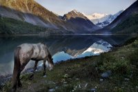 Белый конь на берегу Белой реки у подножия Белухи

в общем , вводим Алтай в поисковике , жмём на картинки и любуемся 
летом отрываем лица от мониторов и тихим сапом в Горный Алтай  дабы воочию увидеть все красоты оного