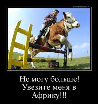 Пейте дети молоко... из Африки?