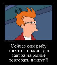 Умная чайка