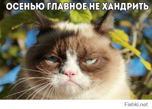 Не уступил дорогу BMW