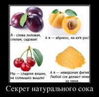 Подборка  демотиваторов