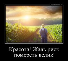 Самые опасные профессии на планете