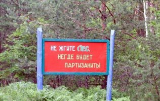 Когда корявые надписи на стенах смотрят прямо в душу