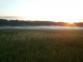 Каждый раз, как приезжаю в деревню ,любуюсь .