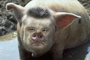 Жертва лоботомии