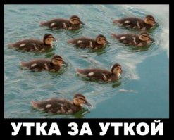 Подтверждаю. Либерарализм и толерастия в Питере зашкаливает.
Можно заглянуть на популярный питерский новостной портал "Фонтанка"
 
Так контент сайта просто пропитан ядом немцовщины, касьяновщины и каспаровщины.

"Свобода слова" в колыбели 3-х революций превратилась в рупор Госдепа! 
.