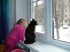 25 животных, которые обожают подсматривать