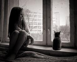 25 животных, которые обожают подсматривать