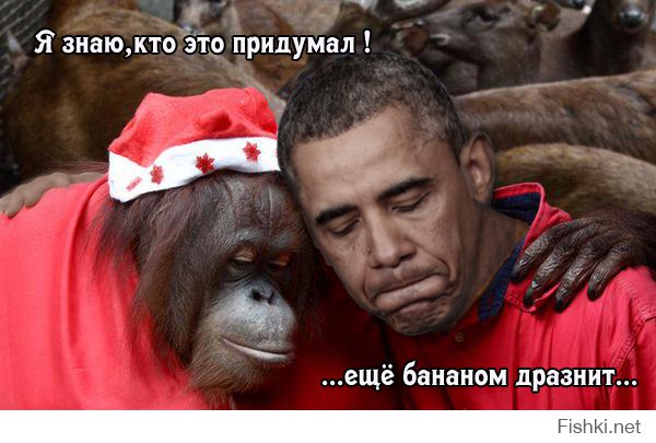 Новость дня