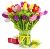 Нет нет, ничего не хочу знать о вашей жизни. В принципе и так всё ясно. Никак не привыкну к вашему поколению. Пусть вид цветочков сгладит мою бестактность.:)