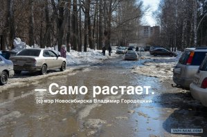 В Новосибе тоже хорошо заметна весна )
