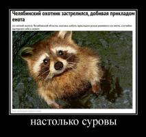 эти тупые пендосы еще ответят....
мы им зашлем ЧЕЛЯБИНСКИХ енотов