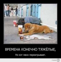 Жизнь не удалась ИЛИ НАОБОРОТ