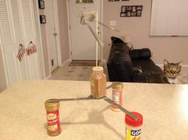 Фотка ни о чем, если бы ни котэ