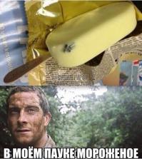  Картинки со смешными подписями