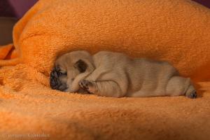 Потягушки...