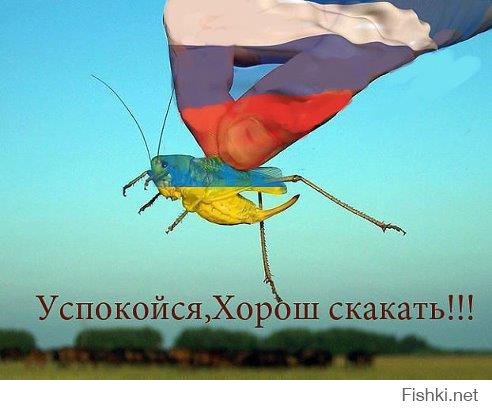 Креаклы!